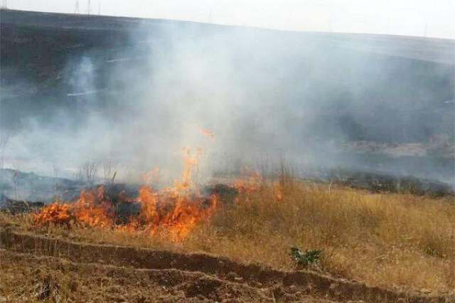وقوع بیش از ۲۰ فقره آتش‌سوزی در مراتع شهرستان دماوند