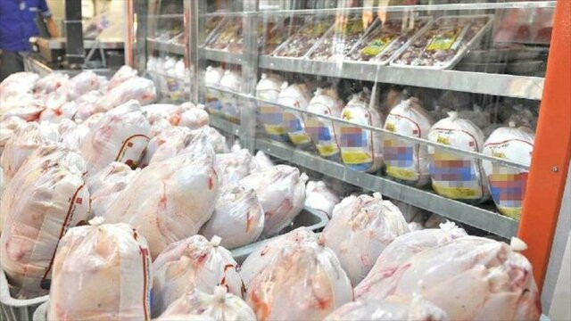 توزیع مرغ گرم در فروشگاه های زنجیره ای از شنبه