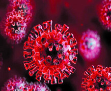 ایمنی بدن در مقابل کرونا ویروس حداقل  تا ۸ ماه دوام دارد