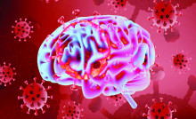 کروناویروس داخل نورون ها، به بافت مغز  آسیب می رساند