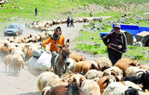 کوچ بهاره عشایر هرمزگان با یک ماه تاخیر آغاز شد