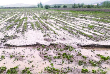 سیل و تگرگ به ۱۷ روستای آذربایجان غربی خسارت وارد کرد