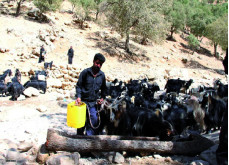 واریز اعتبار سازمان هدفمندی برای تامین آب شرب استان خوزستان