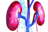 آسیب‌های کلیوی سن و سال نمی‌شناسد
