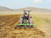 طرح قراردادی کشت گندم در ۵۵ هزار هکتار از اراضی گلستان اجرا می‏شود