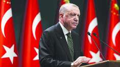 اردوغان:بر ادامه همبستگی با کشورهای حوزه خلیج   فارس  اصرار داریم