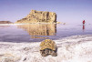 دریاچه ارومیه سرگردان میان طرح های احیا