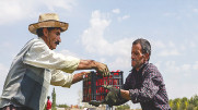 استاندار هرمزگان: محصولات کشاورزی هرمزگان به قطر صادر می‌شود
