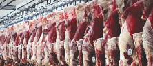 عشایر چهار برابر نیاز وارداتی گوشت قرمز  تولید می‌کنند