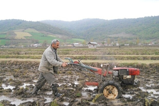 سرمای بهاره و خسارت ۱۱۵ میلیاردی به کشاورزی زرندیه