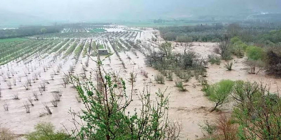 ۲۰۰۰ میلیارد تومان به بخش کشاورزی آذربایجان غربی خسارت وارد شد