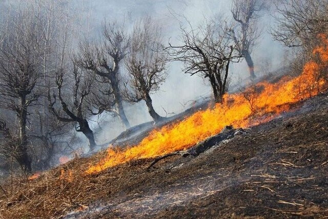 آماده‌باش نیروهای منابع طبیعی کرمانشاه برای مقابله با آتش‌سوزی‌های احتمالی