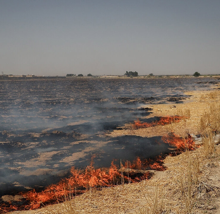 هشدار وقوع دمای بالای ۴۹ درجه و احتمال آتش‌سوزی‌ مراتع