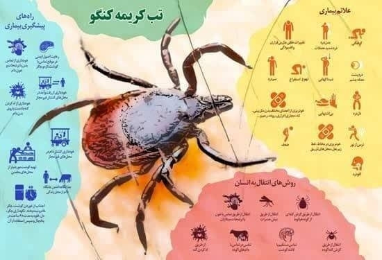 افراد مرتبط با دام با کمترین علائم به مراکز درمانی مراجعه کنند