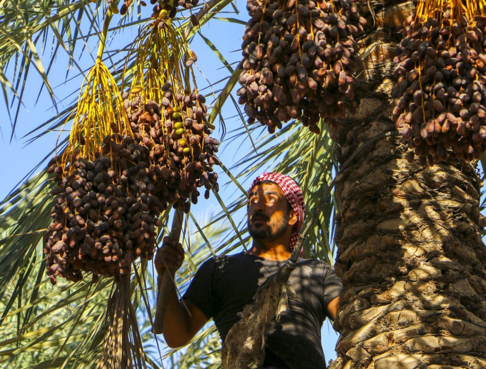 تداوم شرجی هوا در استان بوشهر