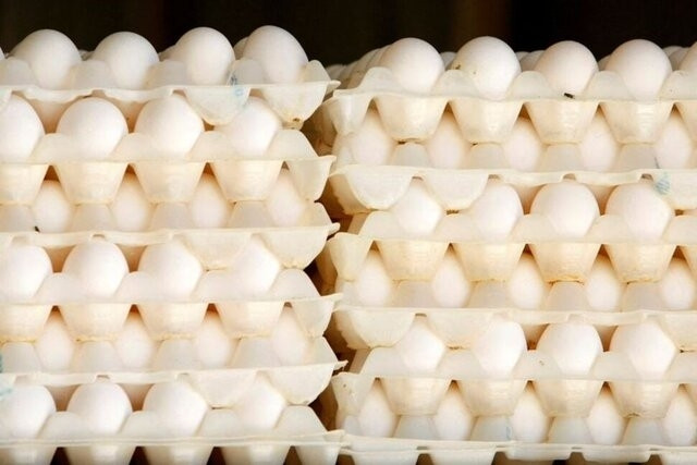 صادرات بیش از ۱۸۰ هزار کیلوگرم تخم مرغ  از شهرستان بیرجند