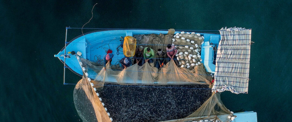 ۱۰۰۲ تُن ماهی خشک از قشم به خارج کشور صادر شد