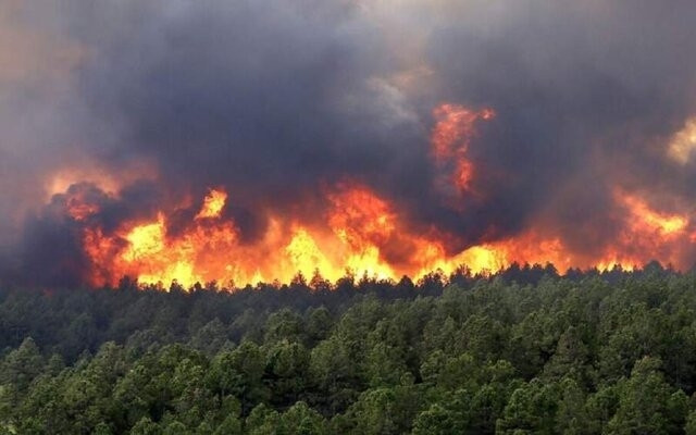 آتش‌سوزی در «سرآب ننیز» گچساران مهار شد