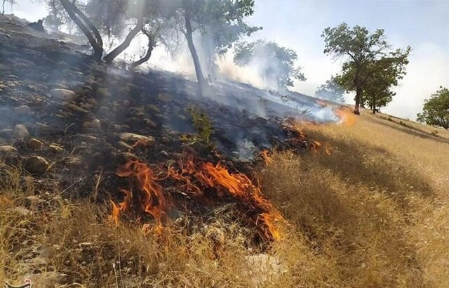 خطر آتش سوزی بیخ گوش جنگل‌ها و مراتع کهگیلویه و بویراحمد