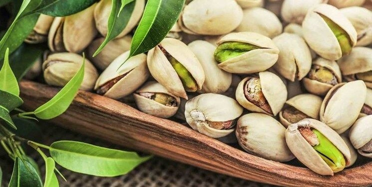 ایران باید حرف اول پسته را در دنیا بزند