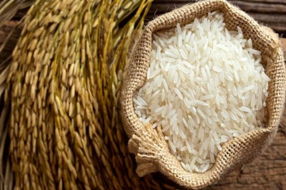 لغو ممنوعیت فصلی واردات برنج