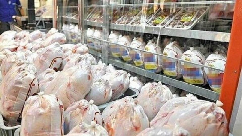 مازندران تأمین کننده گوشت مرغ برای بازار‌های کشور