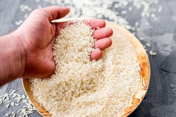 قیمت برنج ایرانی در حال کاهش است