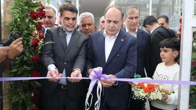 مساحت گلخانه‌های کشور به ۲۶ هزار هکتار رسیده است