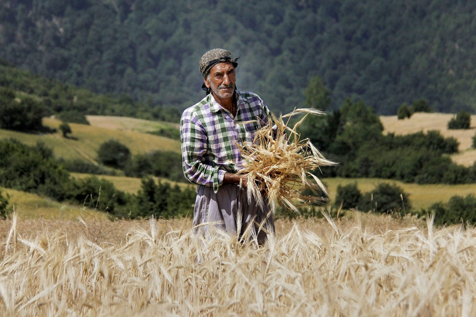 آغاز ثبت‌نام وام ۵۰ میلیونی برای روستائیان