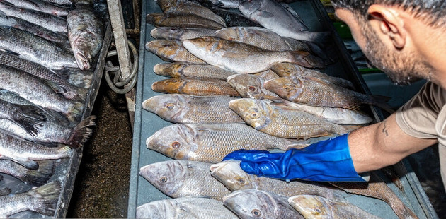 ماهی؛ گزینه‌ای که نباید از سبد غذایی حذف شود