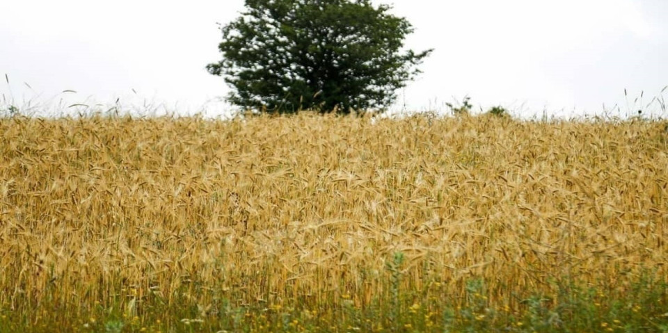 دوره کم بارشی حداقل تا پایان آبان ادامه دارد