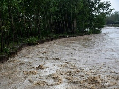 خسارت سیلاب به خانوارهای عشایری ایلام در پی بارندگی‌های اخیر