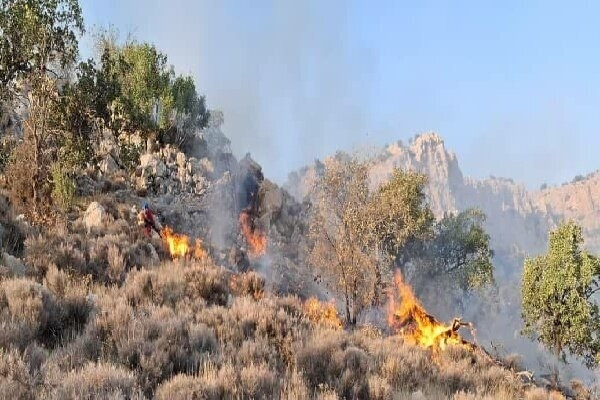 حریق جنگل‌های شرق گلستان تحت کنترل؛ درخواست استقرار بالگرد برای تسریع