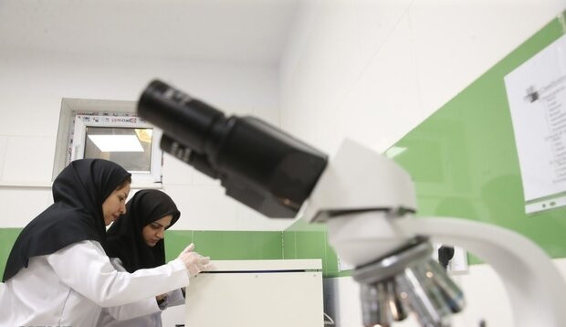 ظرفیت پذیرش ۲ هزار نفری در دکتری تخصصی رشته‌های علوم پزشکی سال ۱۴۰۴