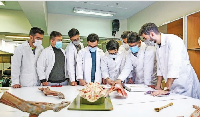 ۴ هزار مجوز استخدامی بدون مصاحبه در رشته های پزشکی و دندان‌پزشکی