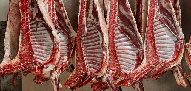بازار گوشت قرمز به تعادل می‌رسد