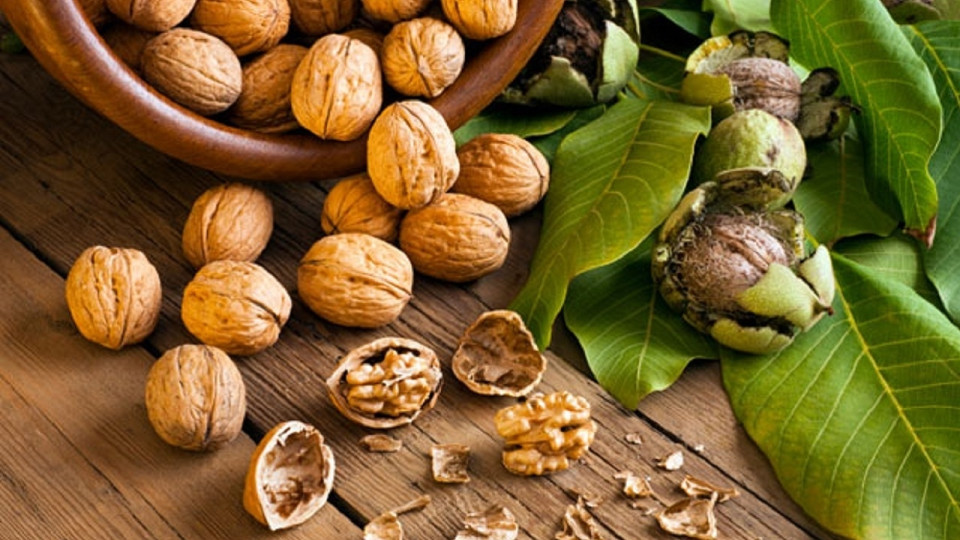 خوردن گردو خطر ابتلا به این بیماری را کاهش می‌دهد