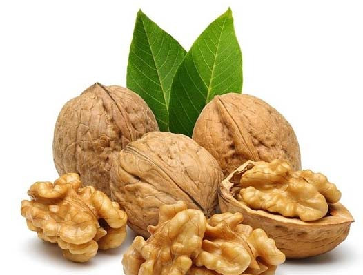 بهترین روش نگهداری گردو به گونه ای که چربی‌های آن اکسیده نشود و طعم و بوی خوبی داشته باشد