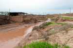 نبود پوشش گیاهی؛ علت ۸۸ درصد خسارت‌های سیلاب در آذربایجان‌شرقی