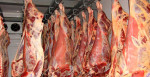 تولید گوشت قرمز ١٩ درصد افزایش یافت