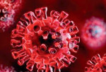 کروناویروس تا ۹ ساعت روی پوست انسان زنده می‌ماند