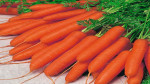 بیماری خطرناکی که خوردن هویج راه آن را سد می‌کند