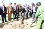 آغاز کاشت ۹ هزار اصله درخت در شهر اندیشه