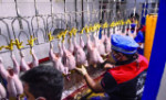 بیش از ۷ هزار تن گوشت مرغ گرم به بازار عرضه شد