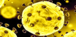 ابتلا به کرونا تا ۱۰ ماه در مقابل ویروس مصونیت ایجاد می‎کند