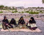 ۳۸ هزار خانوار سیستانی و بلوچستانی تحت پوشش بیمه اجتماعی کشاورزان، روستاییان و عشایر