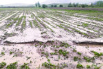 سیل و تگرگ به ۱۷ روستای آذربایجان غربی خسارت وارد کرد