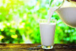 نوشیدن شیر داغ قبل از خواب موجب بهبود کیفیت خواب شبانه می شود