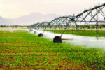 راهی جز آبیاری مدرن در کشاورزی برای غلبه بر خشکسالی نداریم