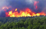 مواد سمی ناشی از آتش سوزی جنگل‏ها وارد مغز می‏شود